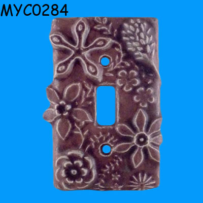 Switch Cover Plate